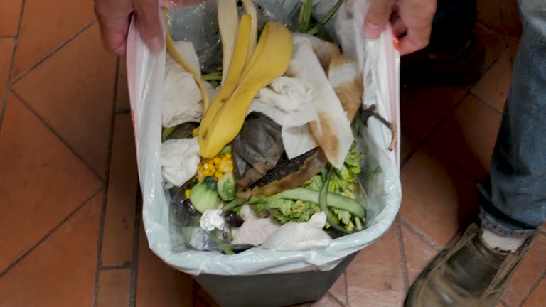 Best Residential Junk Removal  in Springville, IA